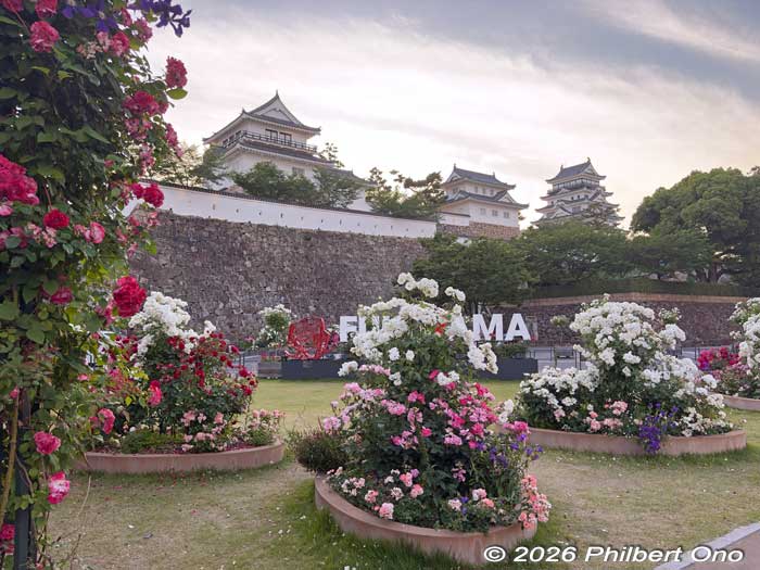 Keywords: Hiroshima fukuyama castle roses