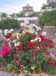 fy112-20260525_1193as.jpg