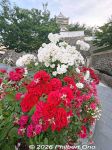 fy127-20260525_1170as.jpg