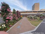 fy129-20260525_1215s.jpg
