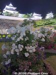 fy135-20260526_1347as.jpg
