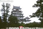 fy401-8523-31.jpg