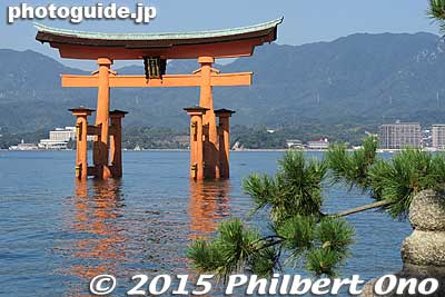 Torii and pine tree at Miyajima.
Keywords: hiroshima hatsukaichi miyajima Itsukushima shrine torii