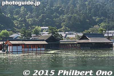 Itsukushima Shrine at high tide.
Keywords: hiroshima hatsukaichi miyajima Itsukushima shrine