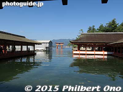 Keywords: hiroshima hatsukaichi miyajima Itsukushima shrine