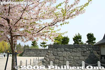 Reconstructed castle wall and cherry blossoms.
Keywords: hokkaido date rekishi no mori park history