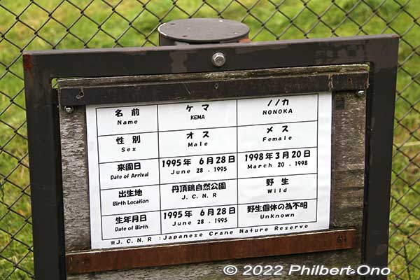The cages also have signs indicating  the names, birthdates, and birthplaces of the paired cranes.
Keywords: Hokkaido Kushiro Japanese red-crowned Crane Reserve