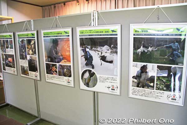 Panel displays explaining about the cranes and problems.
Keywords: Hokkaido Kushiro Japanese red-crowned Crane Reserve