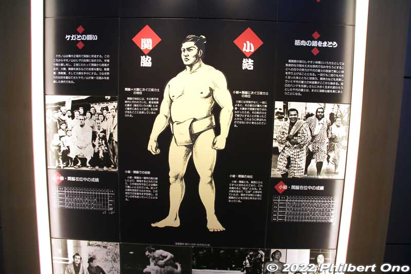 Biography of the two yokozuna.
Keywords: hokkaido matsumae sumo museum Yokozuna Chiyonoyama Chiyonofuji