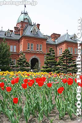 Keywords: hokkaido sapporo government historic building red brick akarenga capitol important cultural property tulips flowers