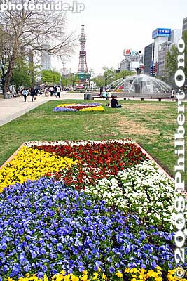 The flower beds are maintained by nearby companies.
Keywords: hokkaido sapporo odori koen park flowers water fountain