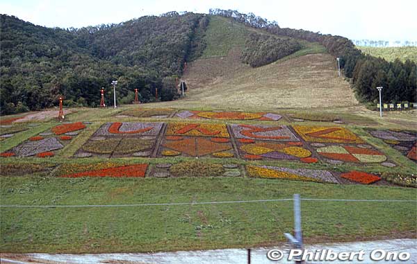 Shintoku Ski Grounds as seen from the train in autumn. The lawn is decorated with しんとく (Shintoku).
Keywords: hokkaido shintoku ski
