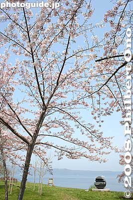 Keywords: hokkaido sobetsu-cho toyako lake toya cherry blossoms nakajima islands flowers spring trees sculpture