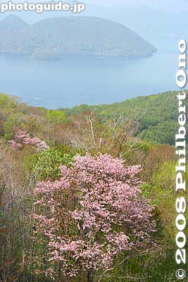 View of Lake Toya from the ropeway car.
Keywords: hokkaido sobetsu-cho mt. showa-shinzan mountain volcano usuzan ropeway lake toya