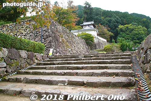 Izushi Castle is on a low hill. Only some steps to climb.
Keywords: hyogo toyooka izushi castle