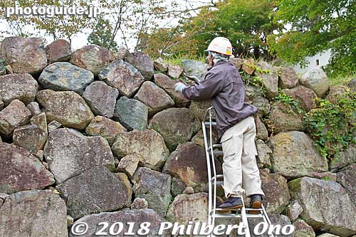 Pulling out weeds from the stone wall.
Keywords: hyogo toyooka izushi castle