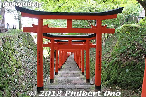 Going back down through the torii gates.
Keywords: hyogo toyooka izushi castle inari shrine torii