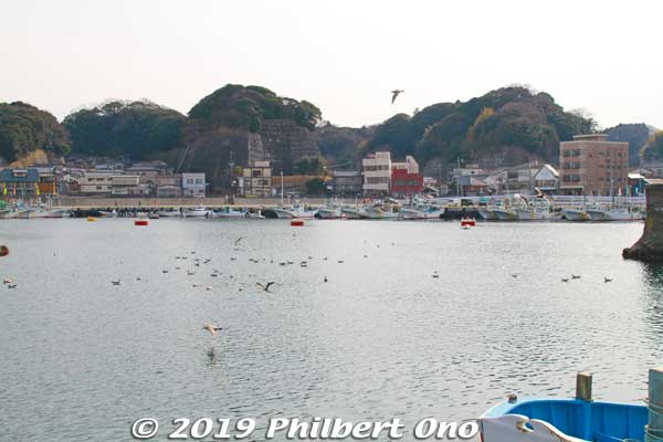 Hirakata Port is a major fishing port in Kita-Ibaraki.
Keywords: ibaraki kitaibaraki hirakata port fish auction