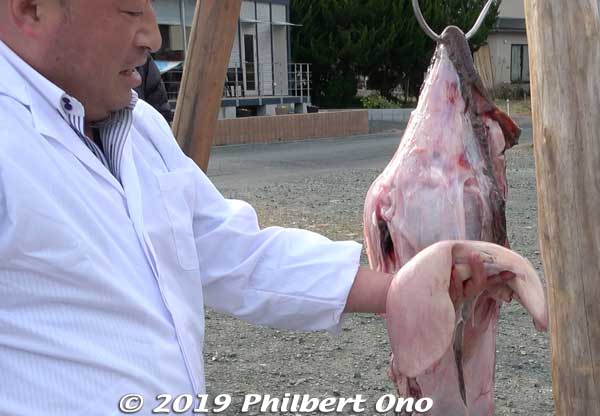 The chef is holding the liver (ankimo), the most prized part of the fish.
Keywords: ibaraki kitaibaraki monkfish