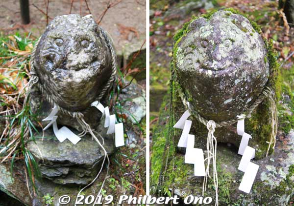 Koma-zaru guardian monkeys (instead of dogs). 狛猿
Keywords: ibaraki kitaibaraki hanazono shrine