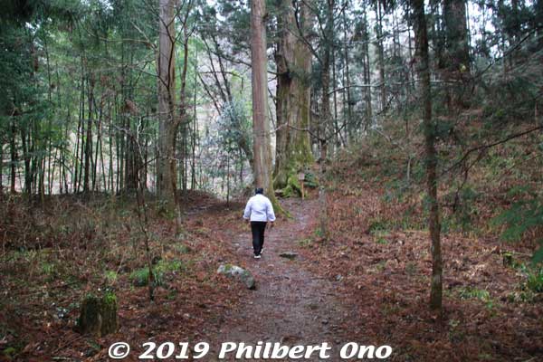 Walking to the famous cedar tree.
Keywords: ibaraki kitaibaraki hanazono shrine
