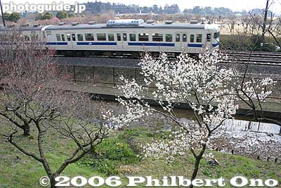 Plum tree and train
Keywords: ibaraki mito kairakuen garden plum blossom flowers ume