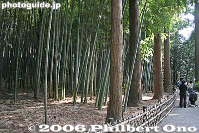 Bamboo grove
Pine trees, bamboo, and plum blossoms are called Shochikubai in Japanese. This trio of trees is most famous.
Keywords: ibaraki mito kairakuen garden plum blossom flowers ume