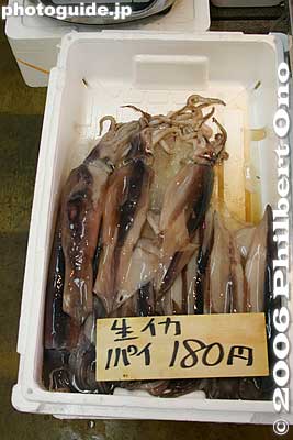 Ika squid
Keywords: ibaraki oarai-cho beach seafood