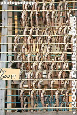 Dried fish
Keywords: ibaraki oarai-cho beach seafood