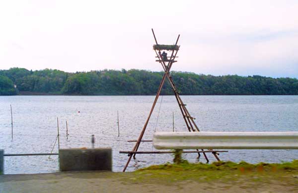 In Anamizu and Nanao Bay, it was common to see these little watchtowers called "bora-machi yagura" or mullet fishing tower (ボラ待ちやぐら). An ancient fishing method to catch mullet.
There's a fishing net laid on the bottom of the shallow water. A fisherman sits on the tower and watches for mullet swimming over the fishing net. He then pulls up the net.
Keywords: ishikawa anamizu noto hanto peninsula