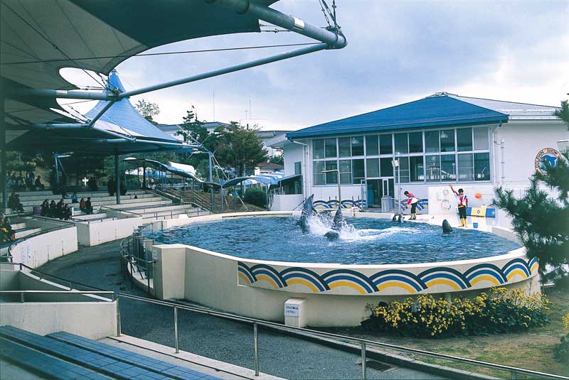 Notojima Aquarium's dolphin show. のとじま水族館
https://www.notoaqua.jp/
写真提供：©石川県観光連盟
Keywords: ishikawa nanao noto hanto peninsula
