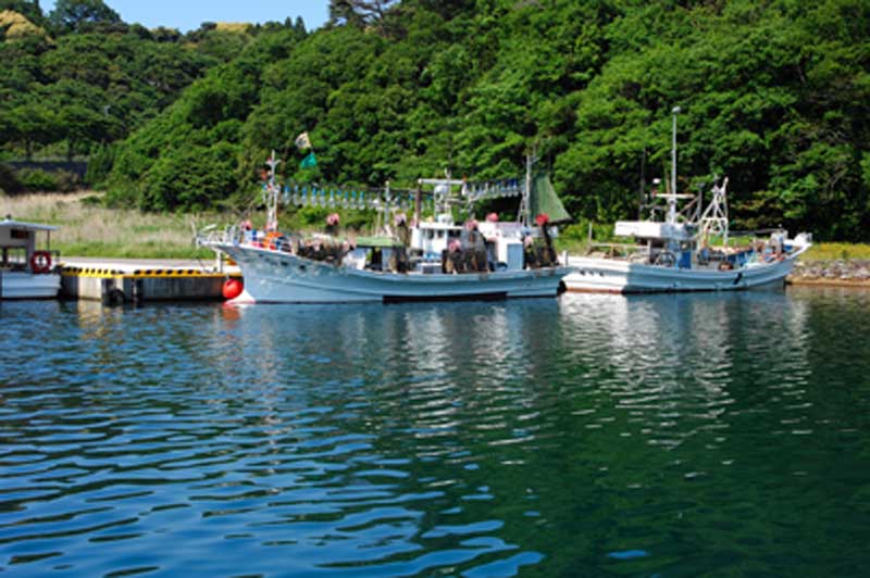 Tsukumo Bay 九十九湾
写真提供：©石川県観光連盟
Keywords: ishikawa noto hanto peninsula
