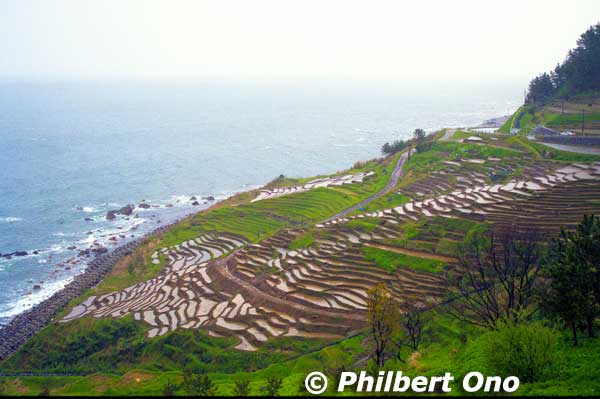 Keywords: ishikawa Wajima noto hanto peninsula rice paddies terraced