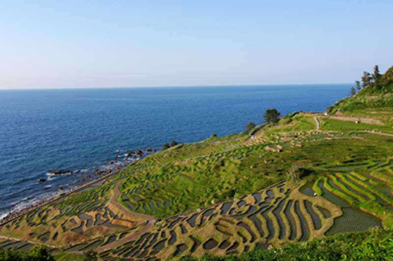 写真提供：©石川県観光連盟
Keywords: ishikawa Wajima noto hanto peninsula rice paddies terraced