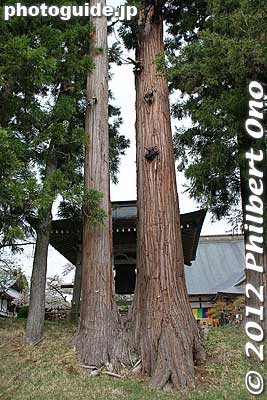 Chusonji's temple bell.
Keywords: iwate hiraizumi world heritage site buddhist temples chusonji tendai