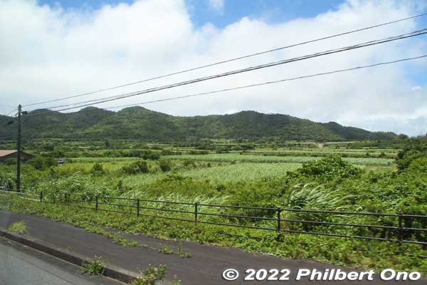 Roadside scenery on Amami Oshima.
Keywords: kagoshima amami oshima