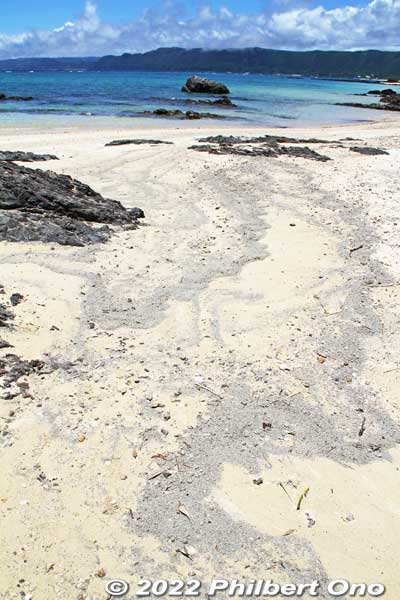 On Amami-Oshima, Kagoshima, Amami Resort Basyayama-mura beach had pumice that came from an undersea volcano (Fukutoku-Okanoba) erupting near the Ogasawara islands (way south of Tokyo).
Keywords: kagoshima amami oshima resort hotel beach lava rock pumice japanocean