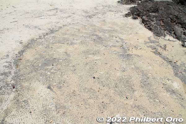 Someone had recently raked or cleaned up the pumice.
Keywords: kagoshima amami oshima resort hotel beach lava rock pumice