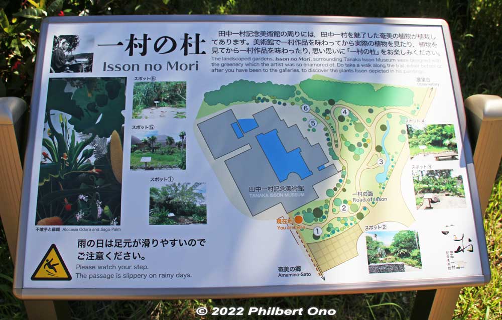 Amami Park has the Isson no Mori tropical garden area which is free admission, but other facilities charge admission like the Exhibition Hall and Amami Theater. Isson is the name of a local painter.
Keywords: Kagoshima Amami Oshima Park