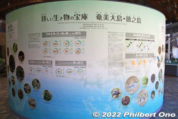 Amami no Sato's Island Information Space explains about local flora and fauna.
Keywords: Kagoshima Amami Oshima park