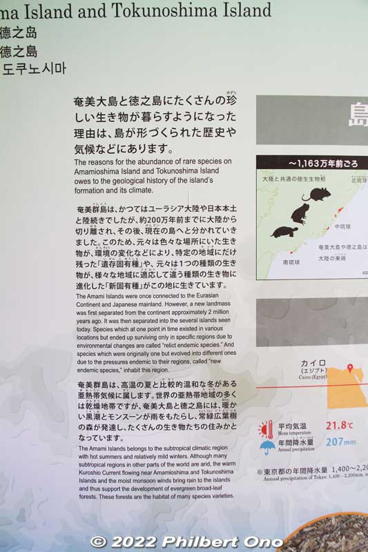 Keywords: Kagoshima Amami Oshima park