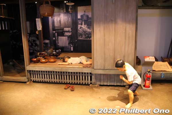 Amami no Sato's Exhibition Hall includes a reconstructed local home. 
Keywords: Kagoshima Amami Oshima park