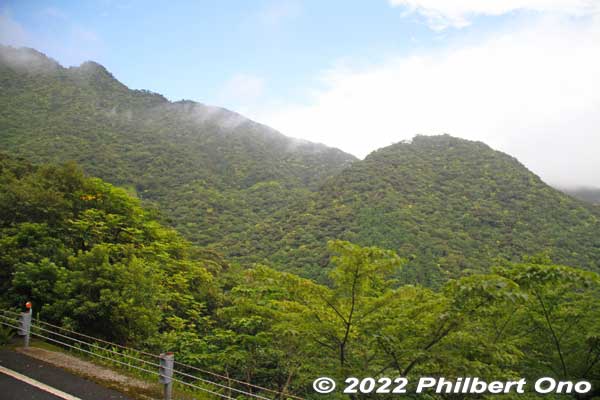 Yakusugi Land is in the mountains, so our bus drove up the mountain road.
Keywords: Kagoshima Yakushima