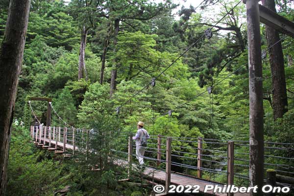Seiryo-bashi suspension bridge. 清涼橋
Keywords: Kagoshima Yakushima Yakusugi Land cedar tree