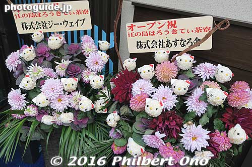 Hello Kitty flowers
Keywords: kanagawa fujisawa enoshima