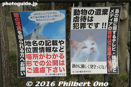 "Be nice to cats on Enoshima."
Keywords: kanagawa fujisawa enoshima