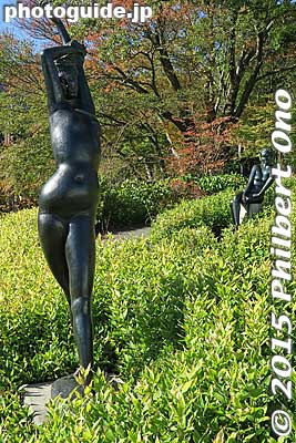 Keywords: kanagawa hakone open air museum sculpture art