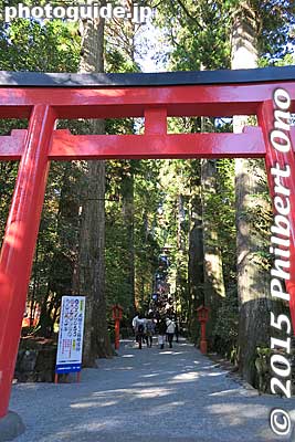 Keywords: kanagawa moto hakone shrine torii