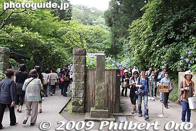 Entrance (left) to Meigetsu-in. Exit is on the right.
Keywords: kanagawa kamakura meigetsu-in temple zen ajisai hydrangea flowers 