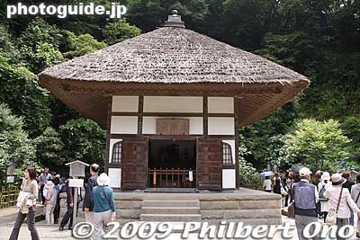 Soyu-do Founder's Hall
Keywords: kanagawa kamakura meigetsu-in temple zen ajisai hydrangea flowers 